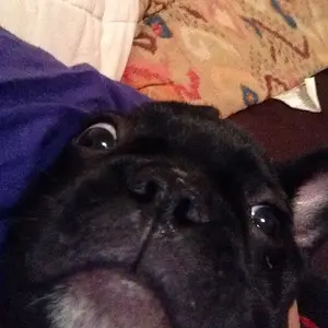 selfie