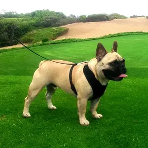 Strikin a pose on the golf course for the camera:)