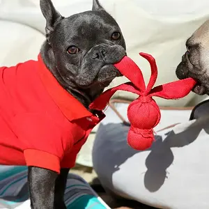 Friendly game of tug of war