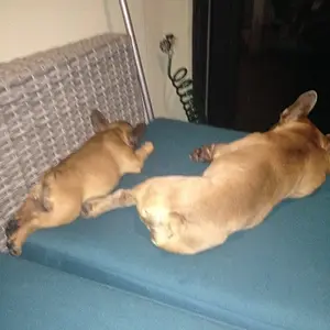 Banksy napping with his uncle Bronx