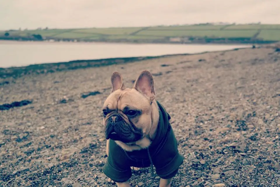 1 year old