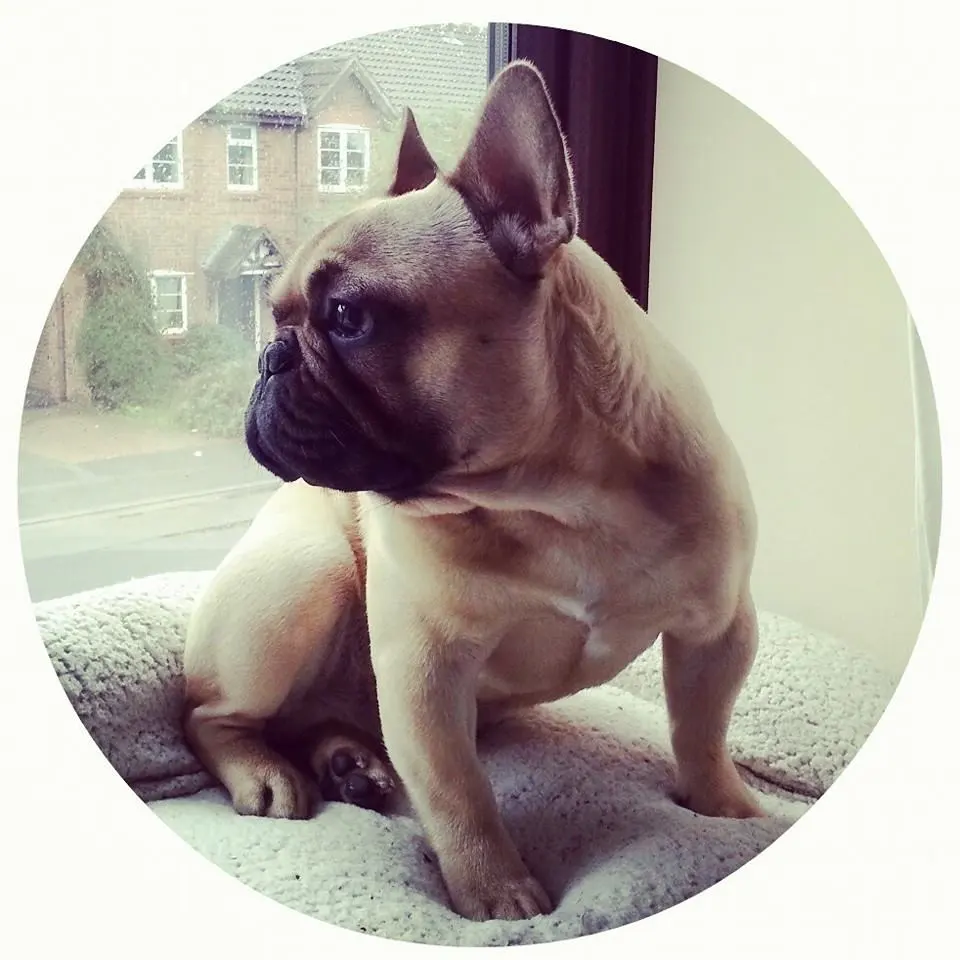 10 months old