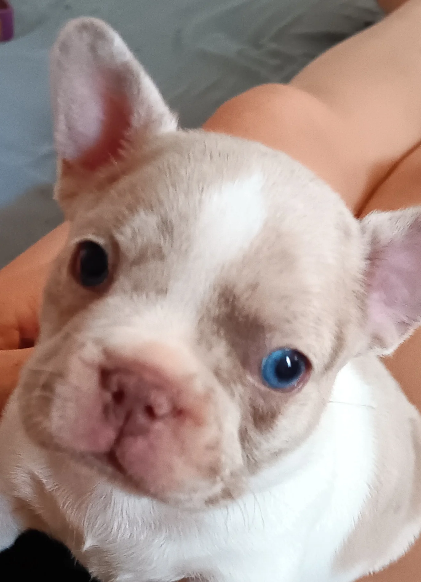 1000004078.webp