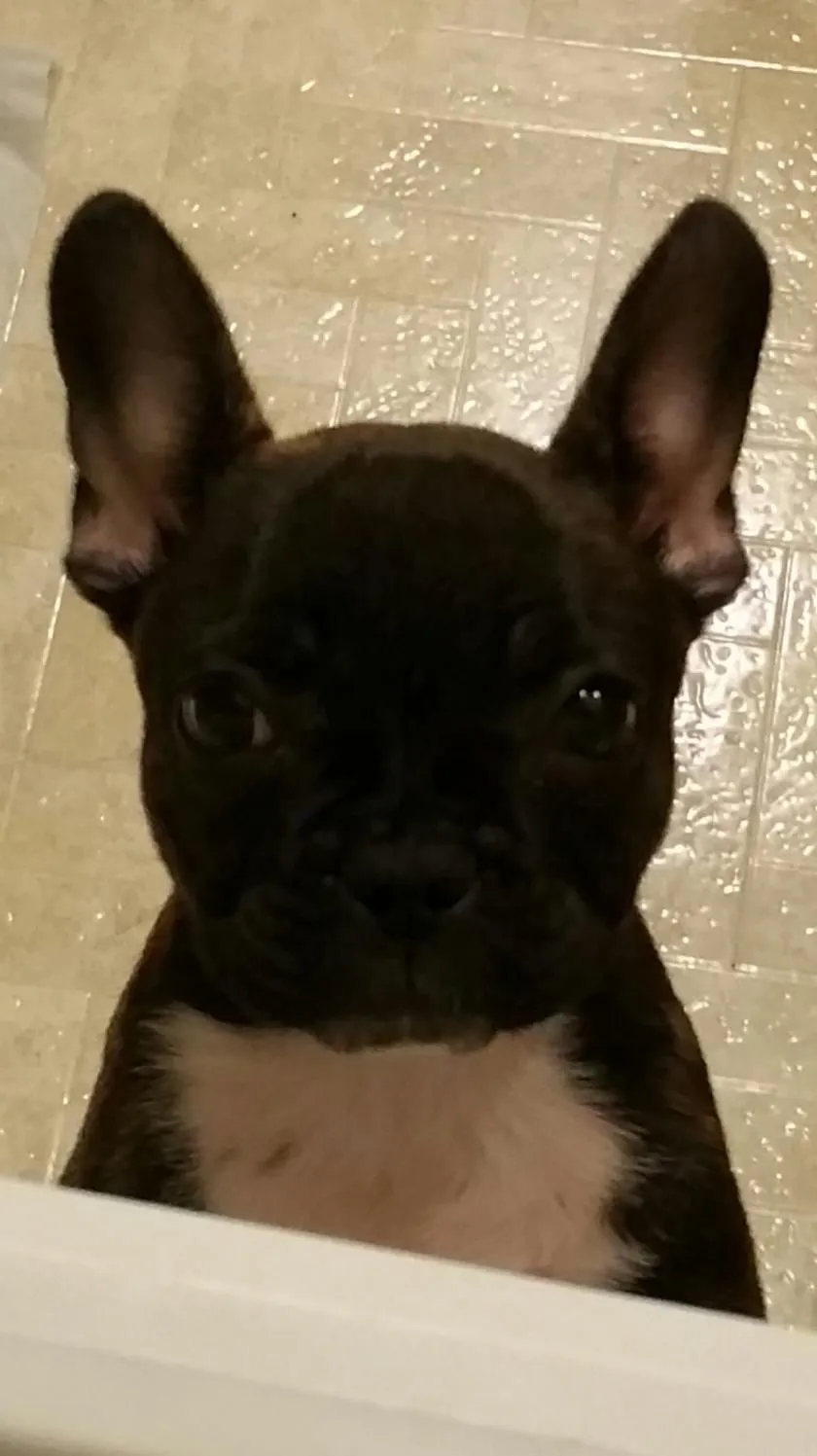 2015-03-25 14.42.44.jpg