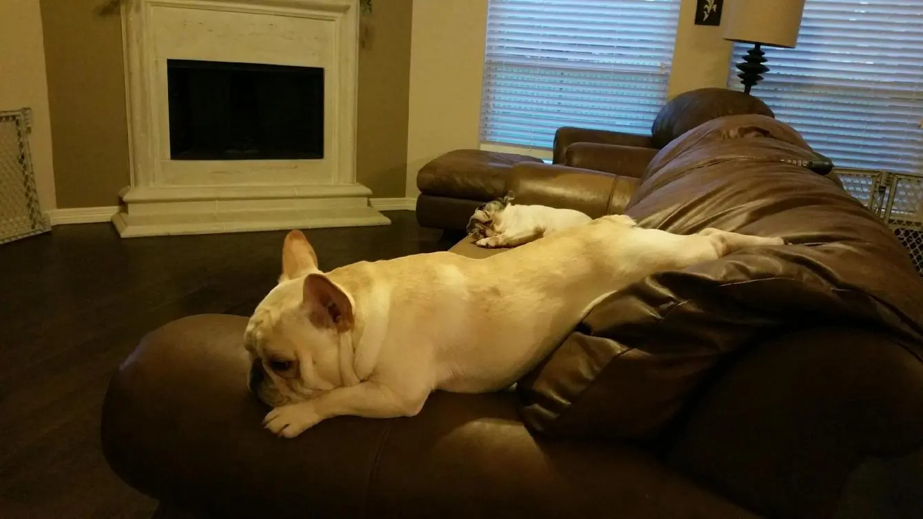20150524_202156.jpg