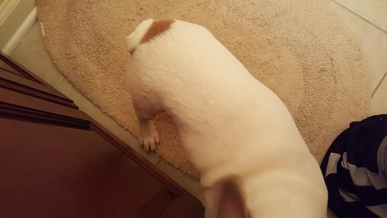 20150925_210442.jpg