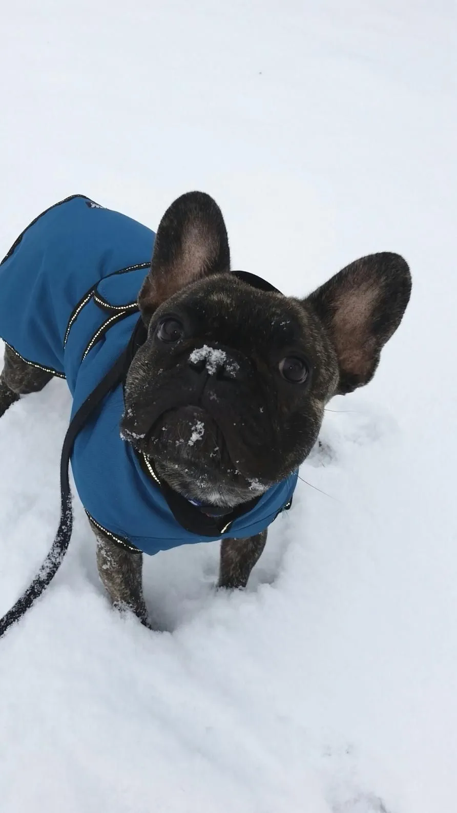 2017-01-10 18.01.42.jpg