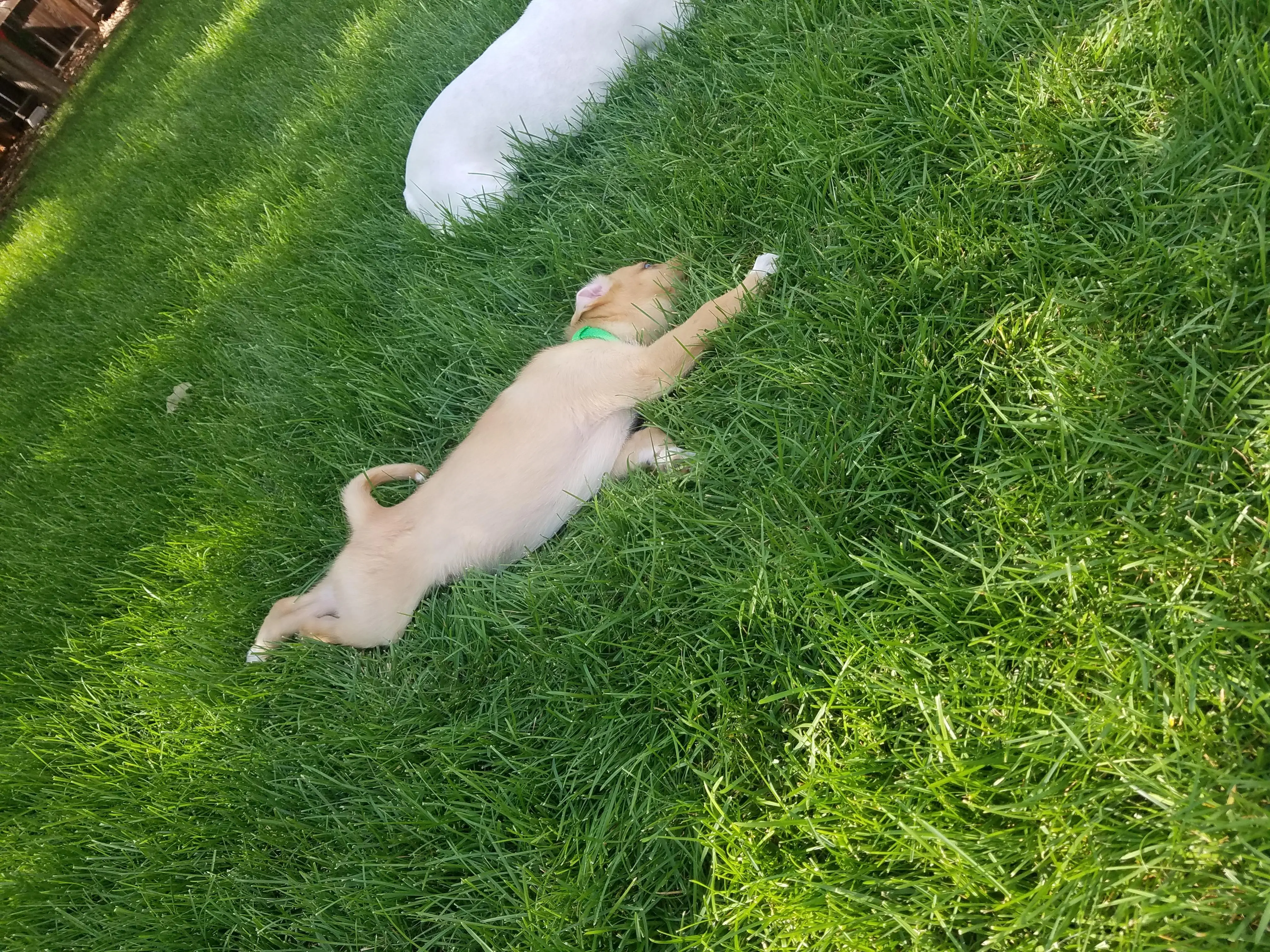 20180702_163554.jpg