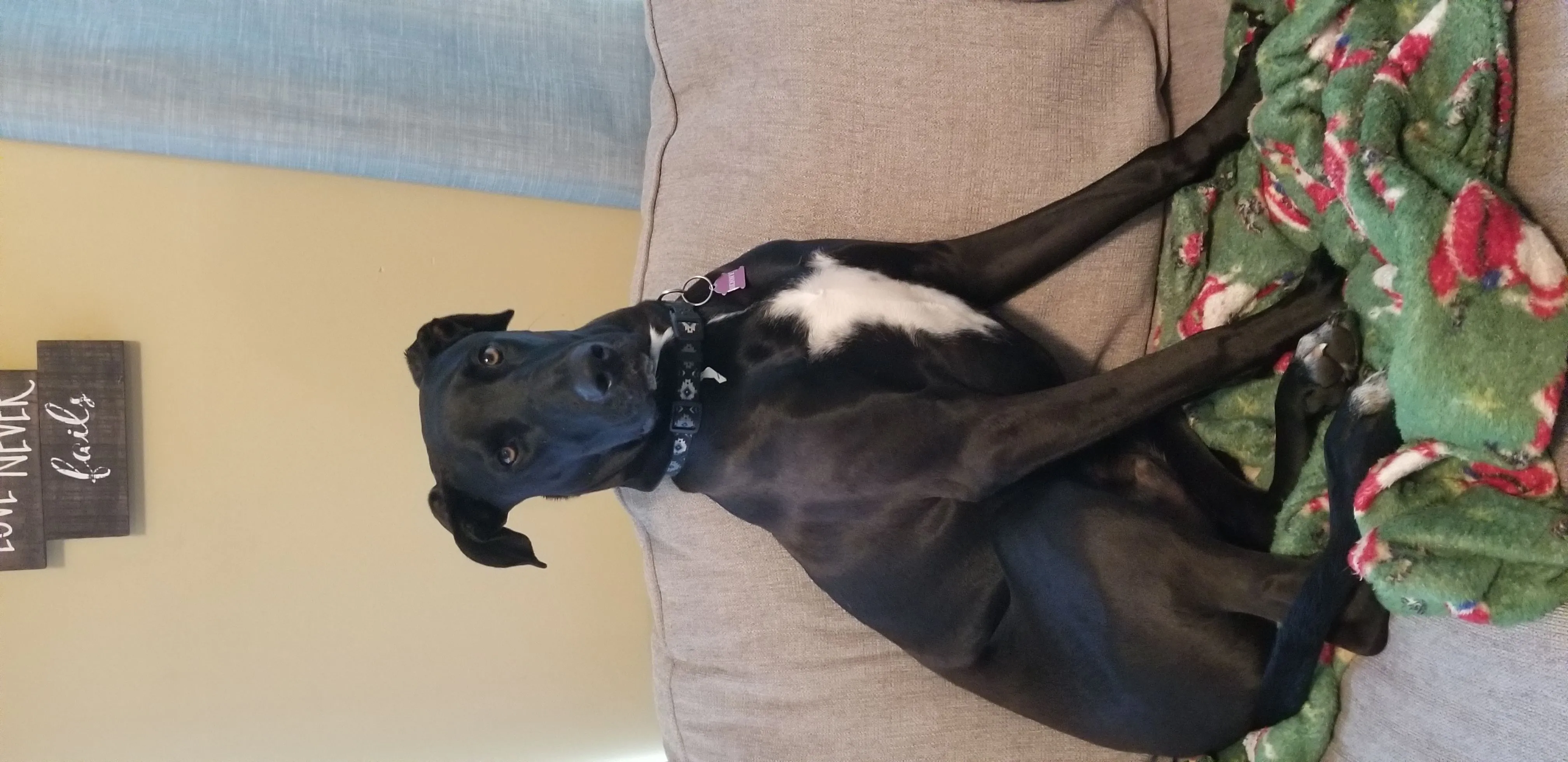 20190325_101424.jpg