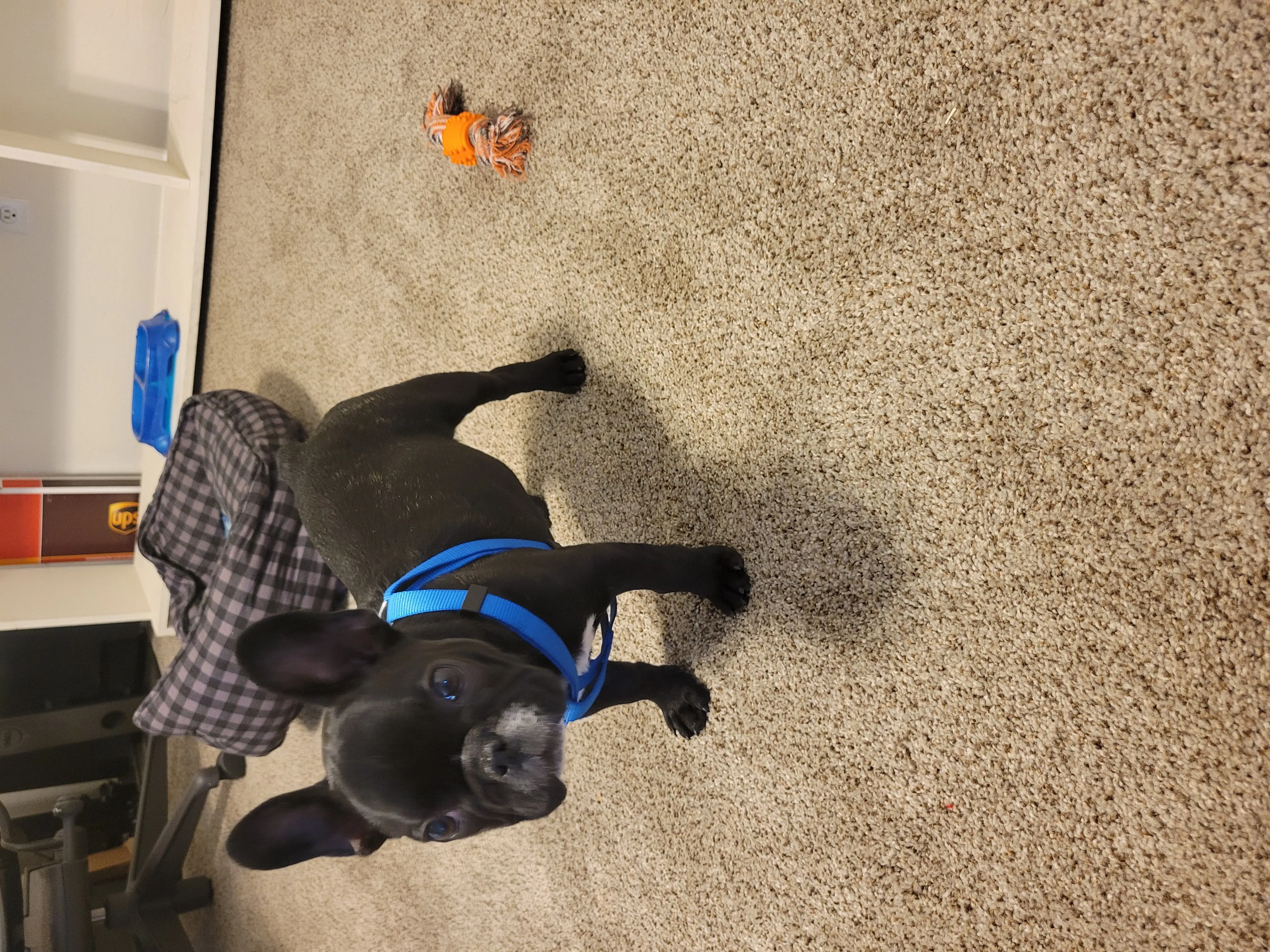 20220121_104207.jpg