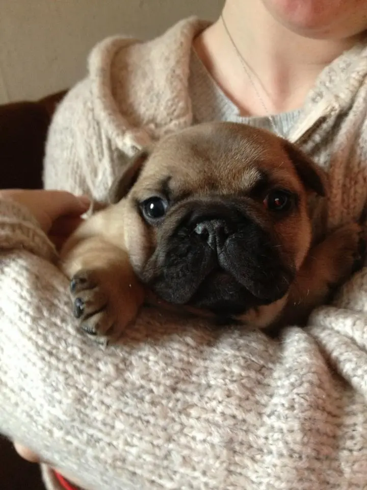 4 weeks old