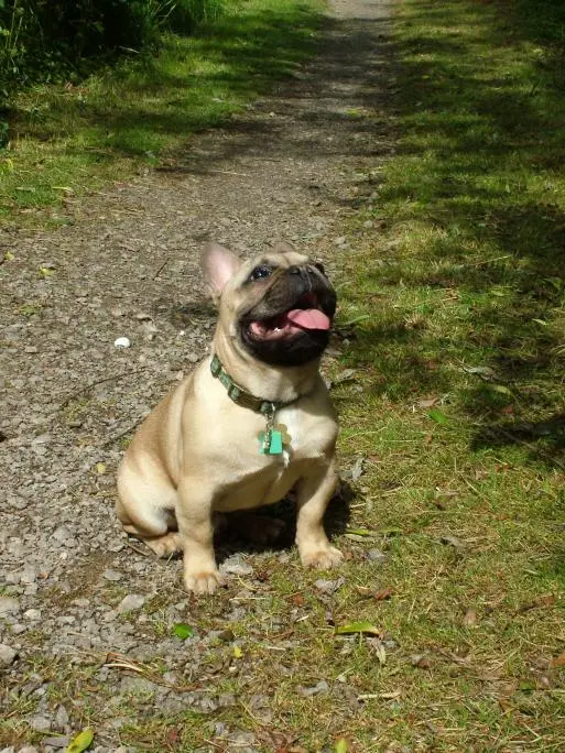 6 months old