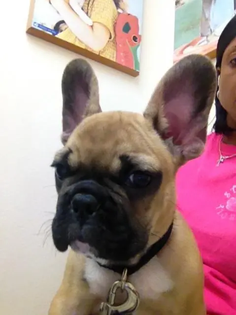 And why is the vet late??