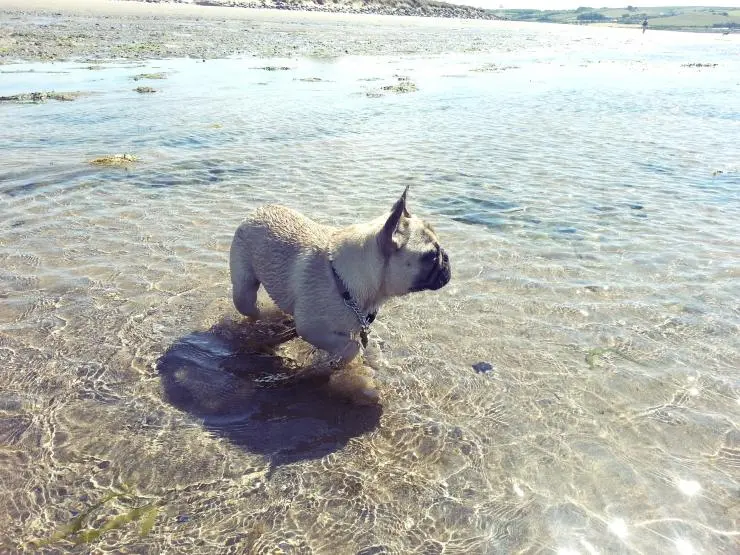 At the beach 7 months old
