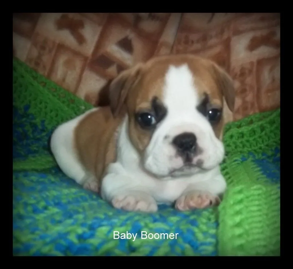 Baby Boomer 5 weeks 2.jpg