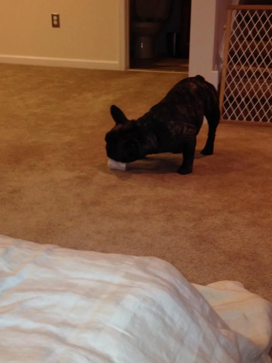 banks marrow bone 010