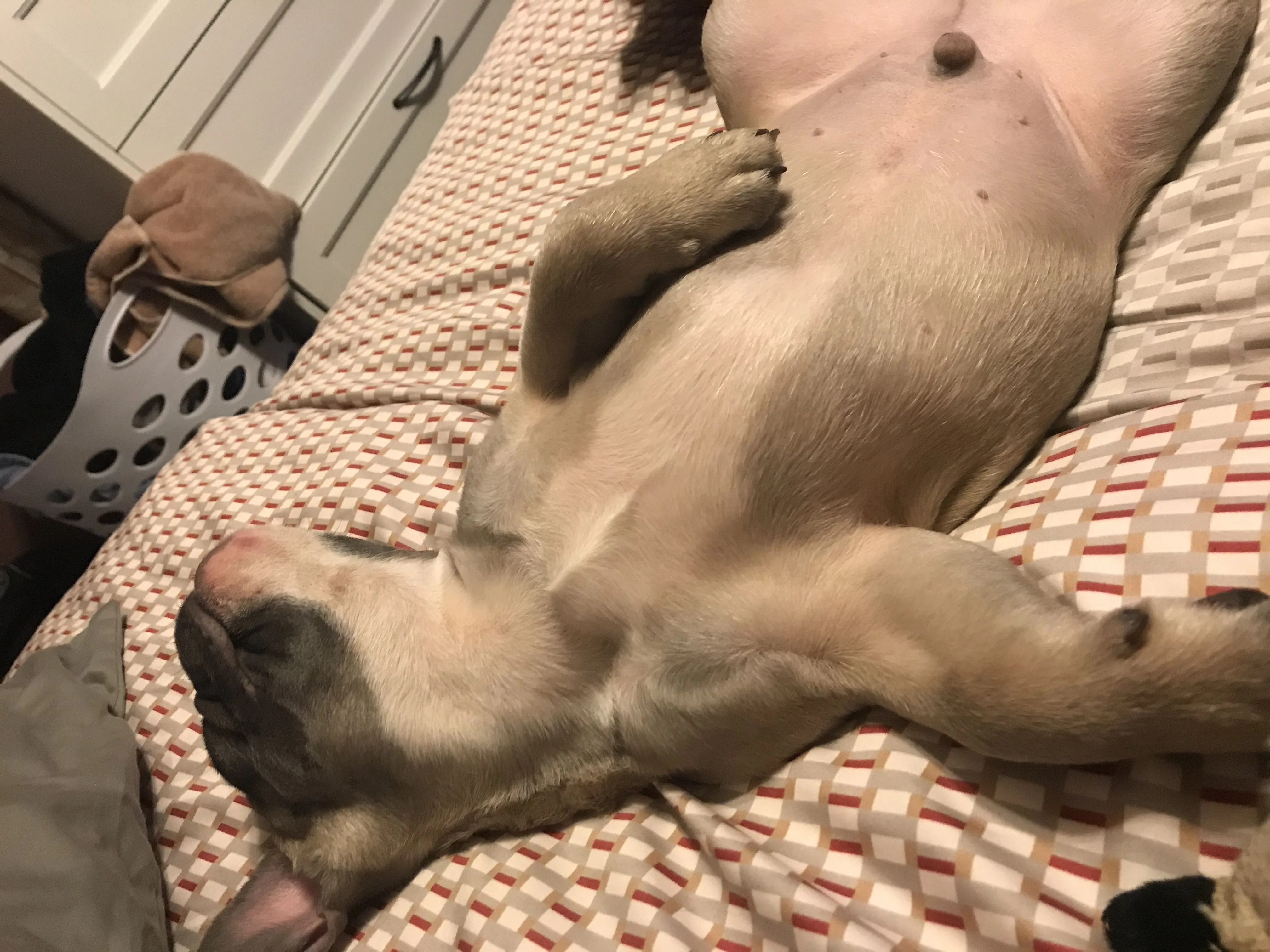 Broadie at his most relaxed