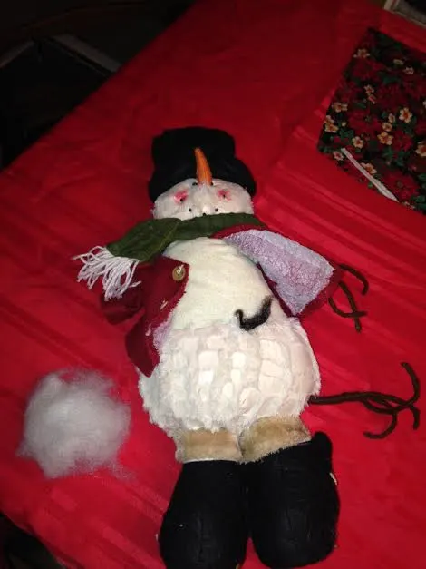 dead snowman.jpg