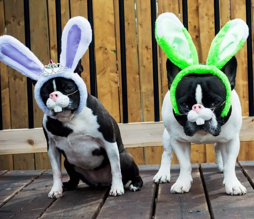 DSC_0475 resized.jpg