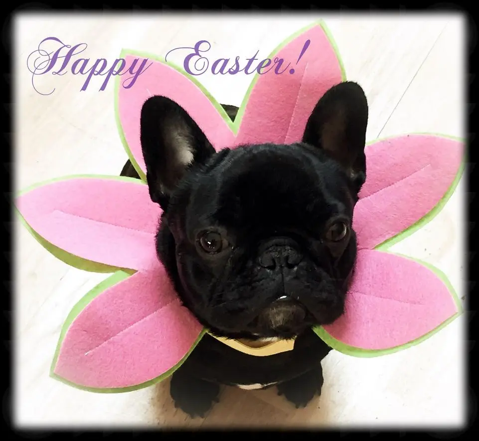 Easter2.jpg
