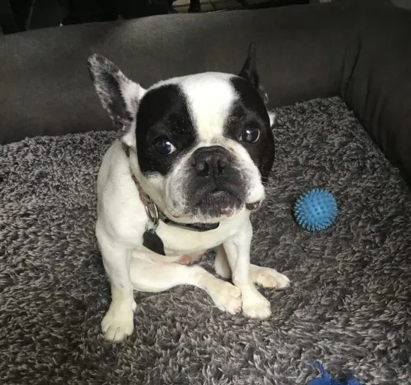 fiona.jpg