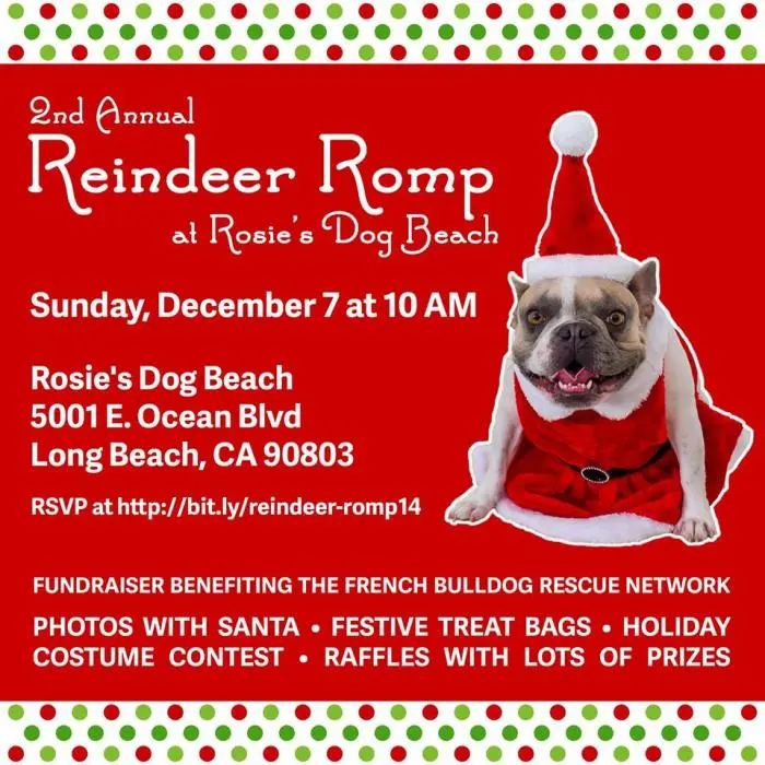 frenchbulldog reindeer Romp.jpg