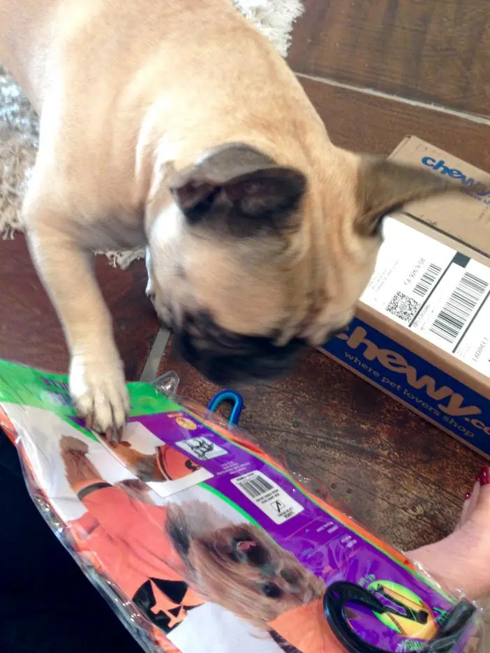 FullSizeRender (27).jpg