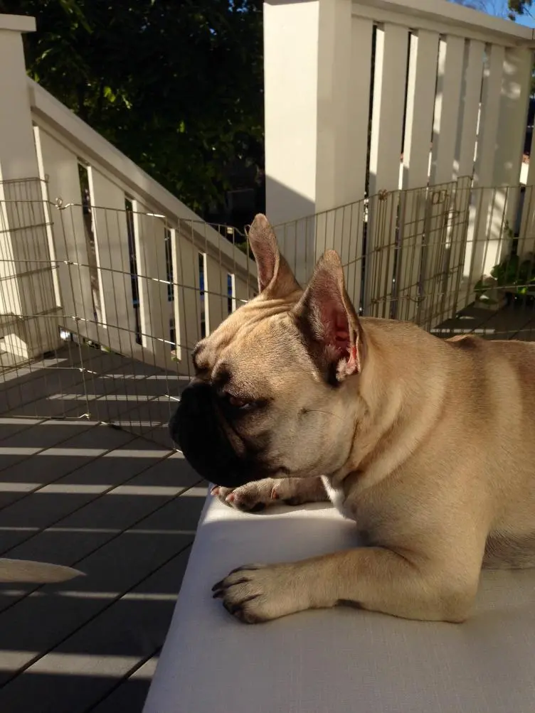 FullSizeRender (73).jpg