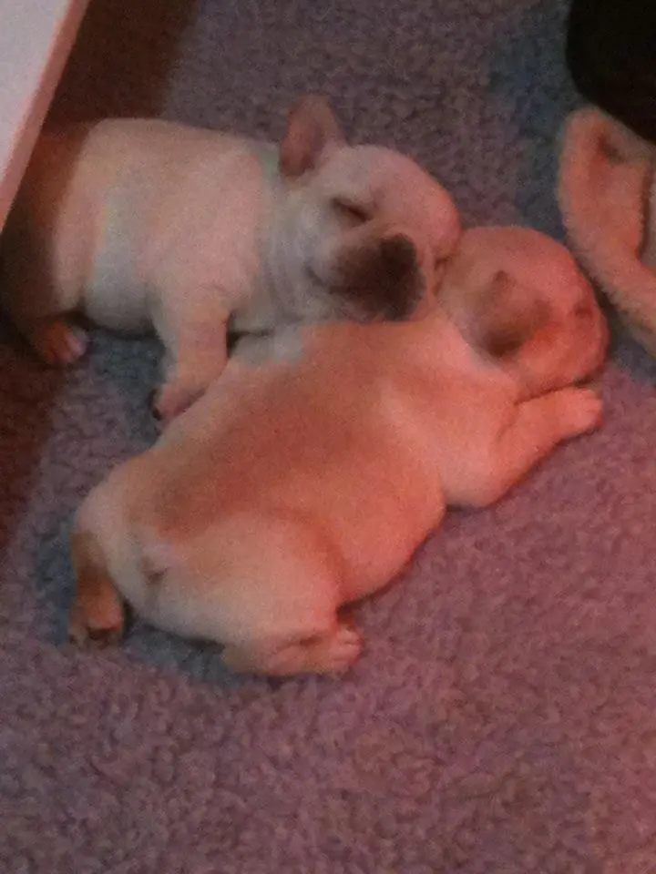Gus as a baby with his sister using him as a pillow