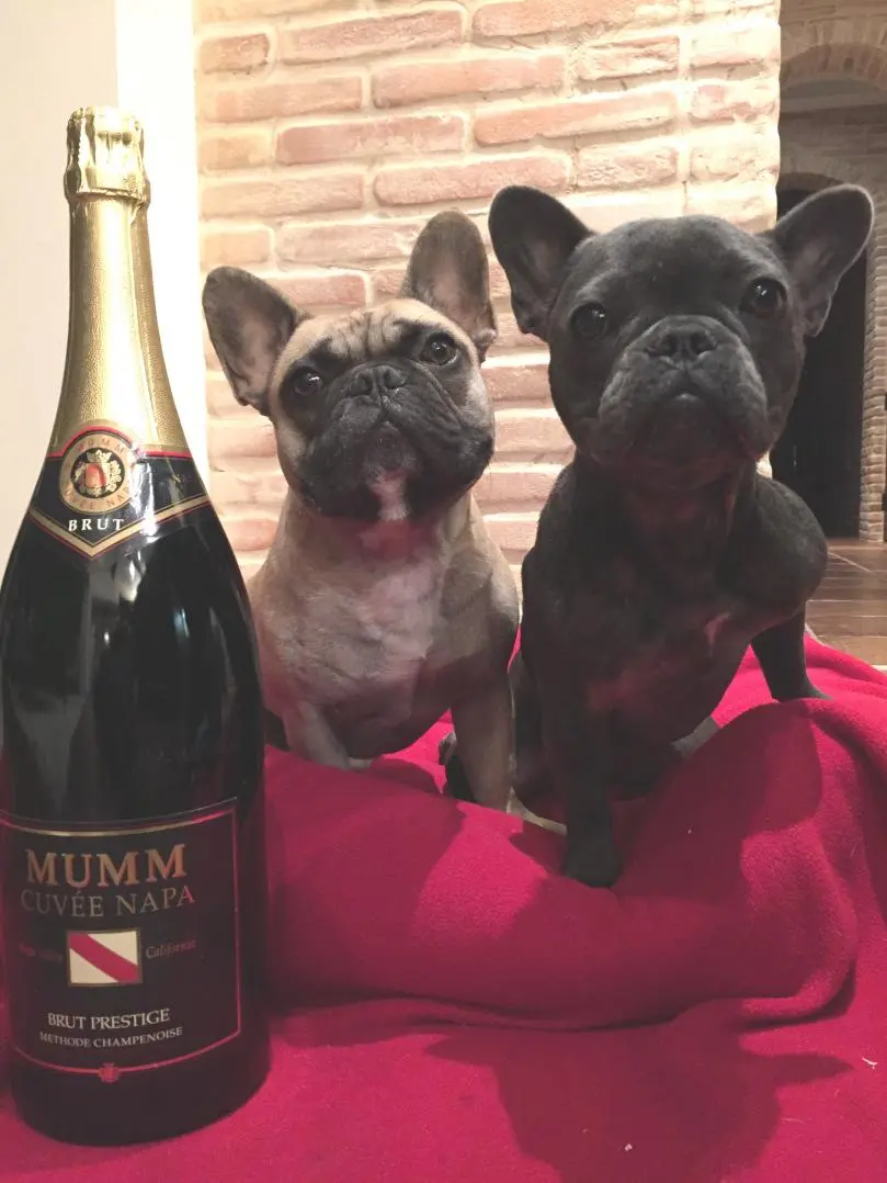 Happy 2015!