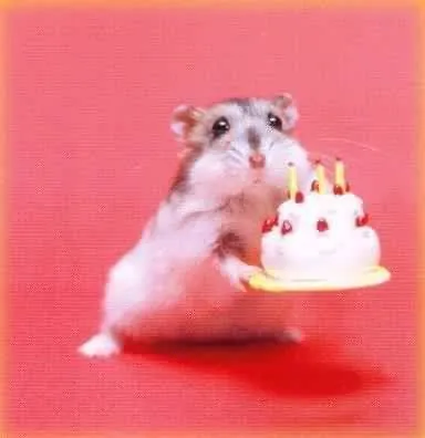 HappyBirthdayHamster.jpg