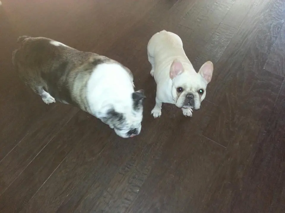 Hazel & BeBe