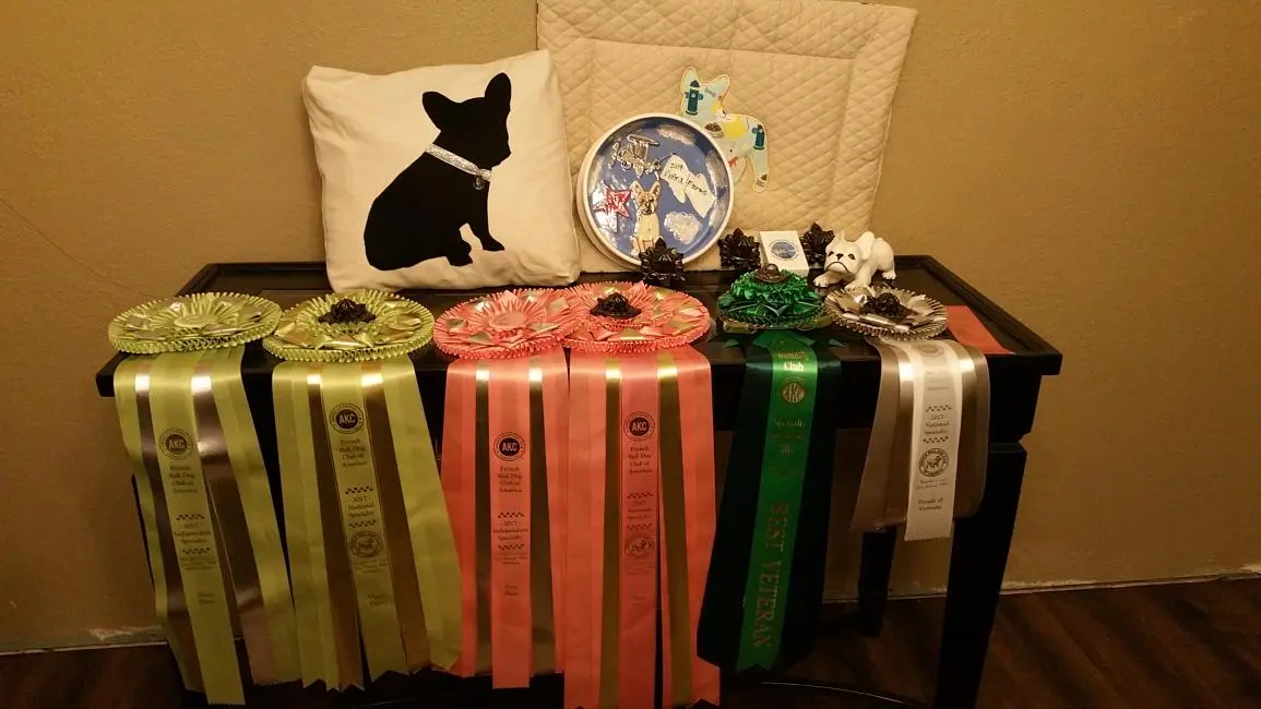 Hazel ribbons National 2017.jpg