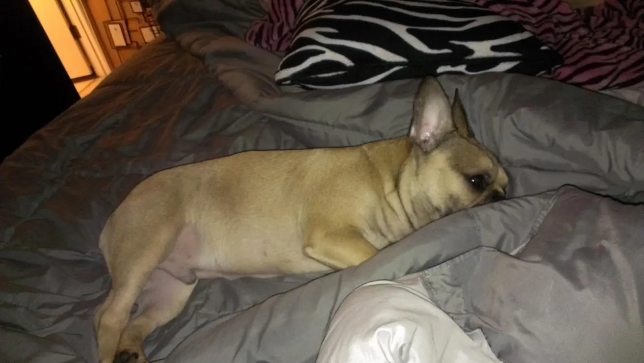 IMAG0811.jpg