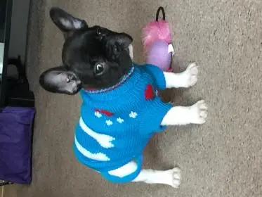 image.jpg