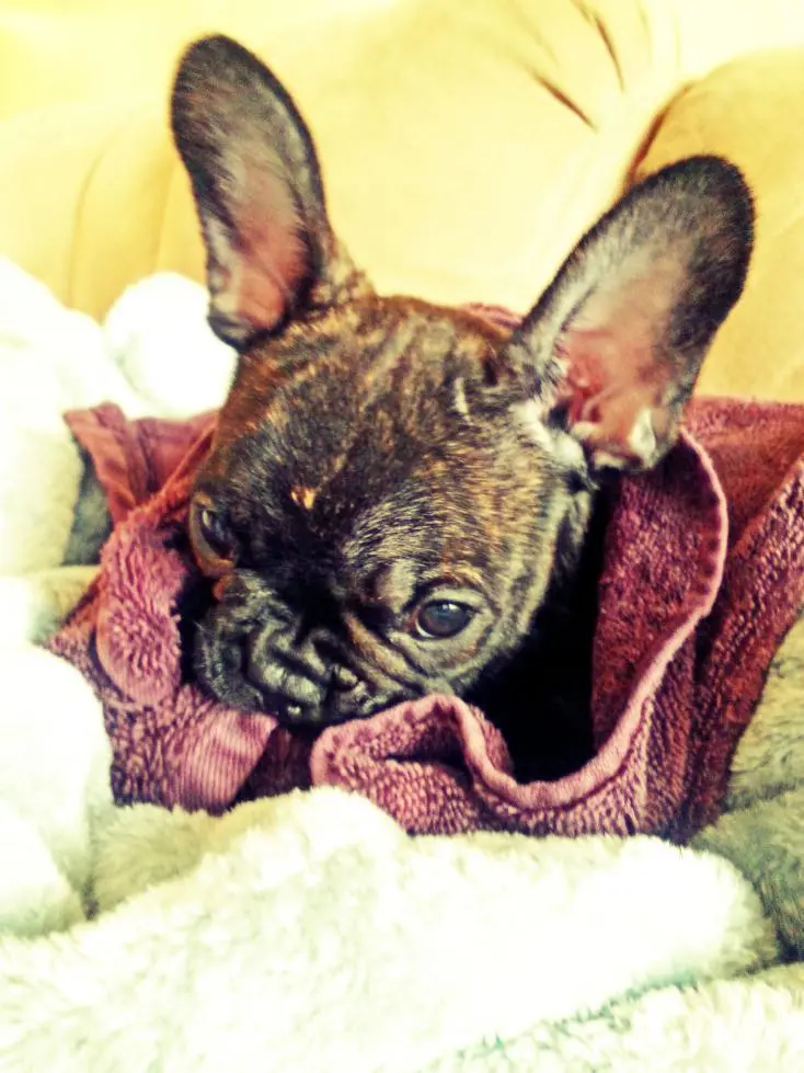June 2014 (11 weeks old) - bath time