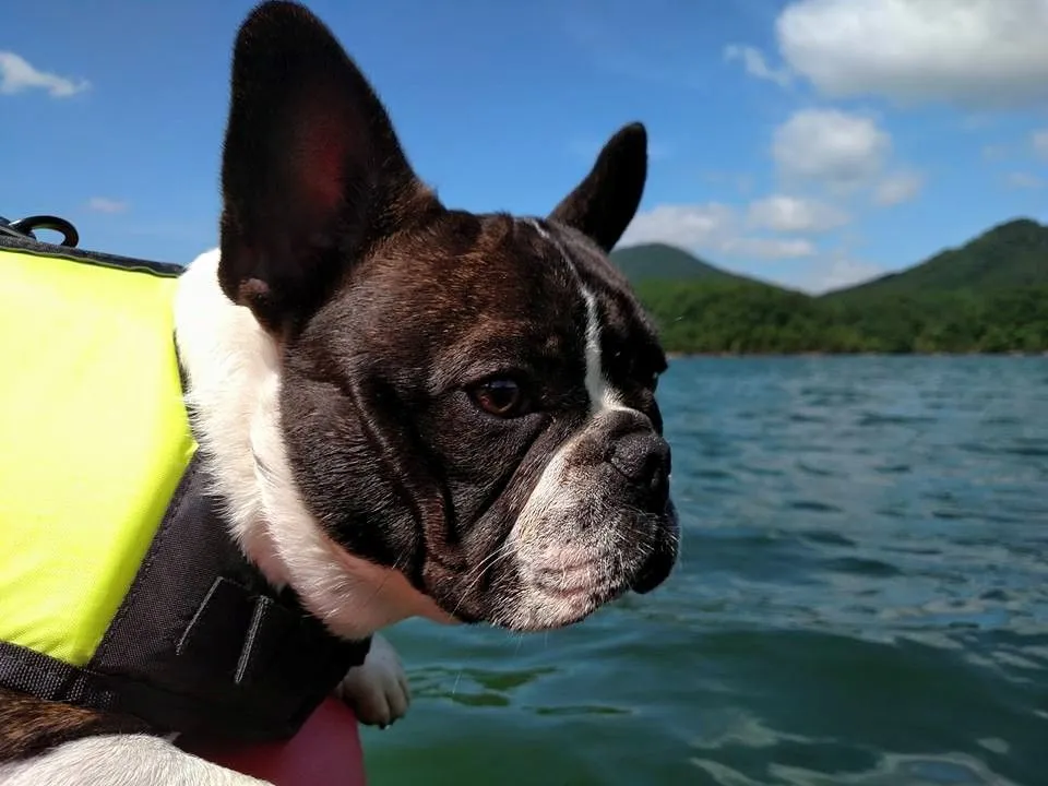 kayak1.jpg