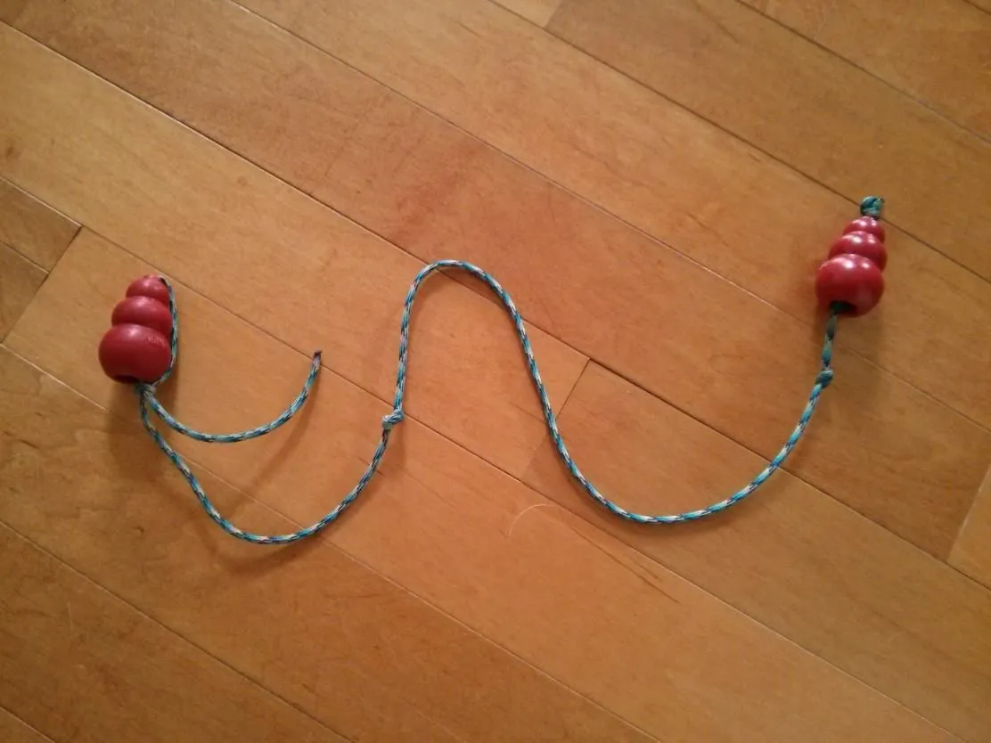 Kong string toy.jpg