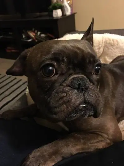 lucymae.jpg