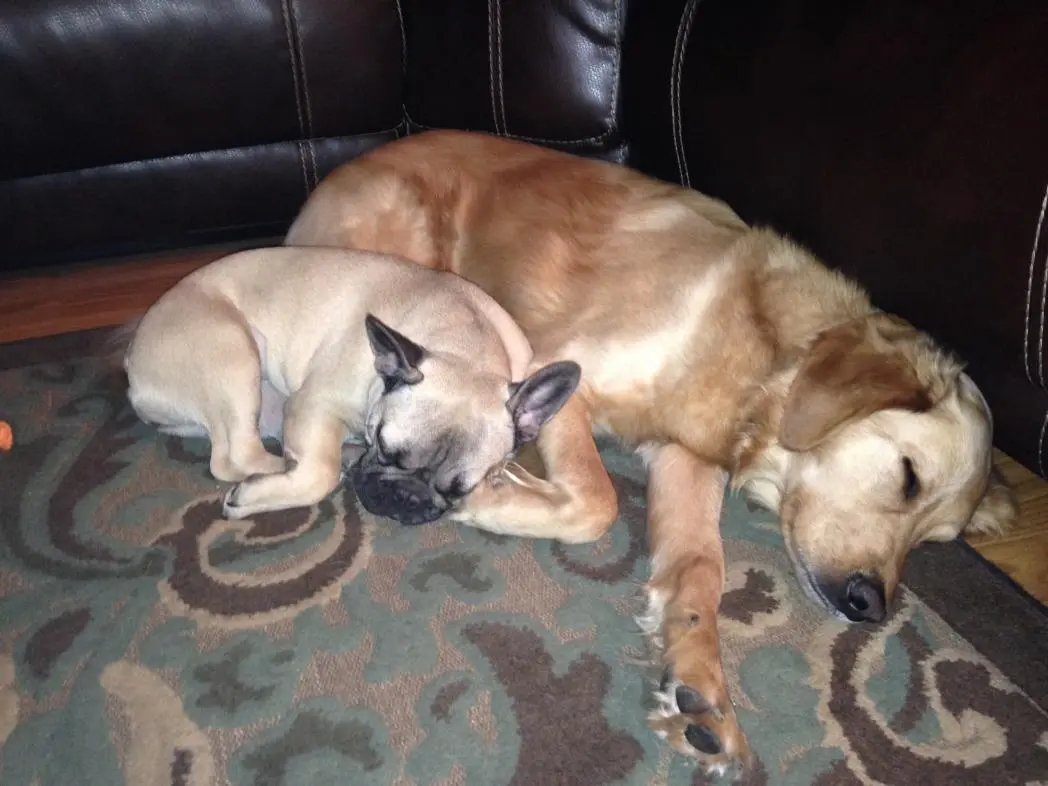 Murph and Marg.jpg