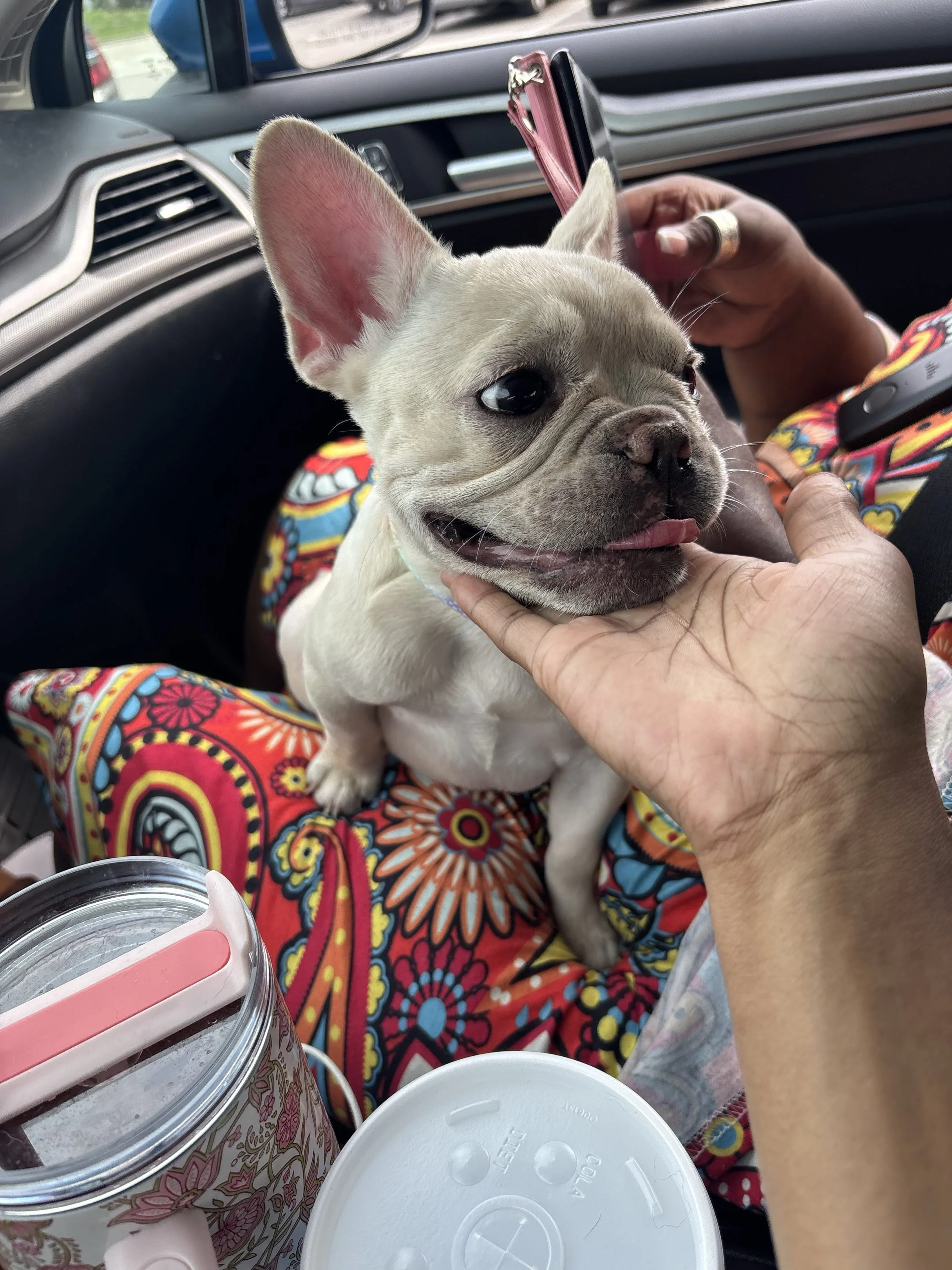 New Baby girl