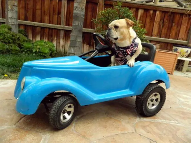 pedal car drivin' 026.jpg