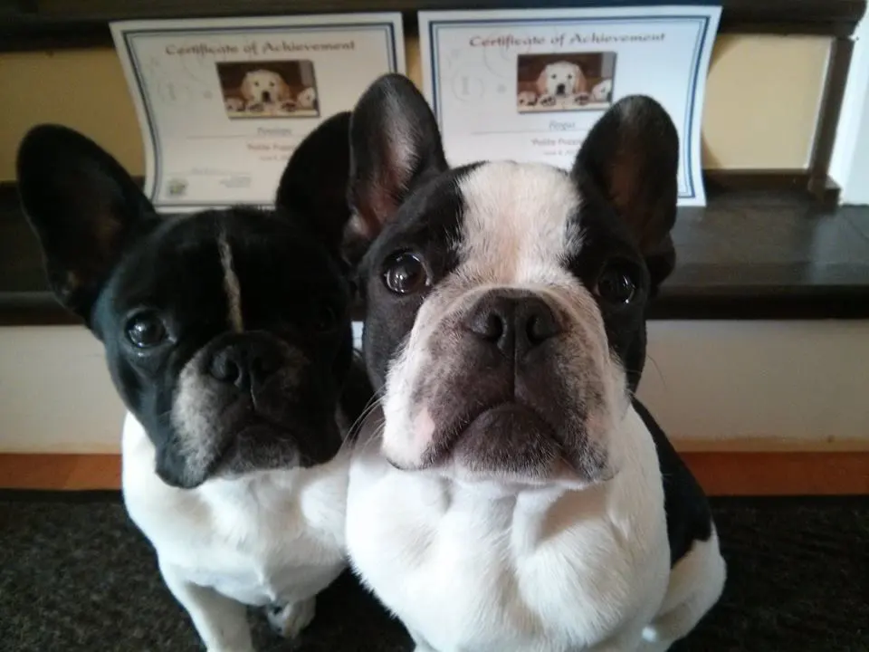 Penelope and Fergus graduate.jpg