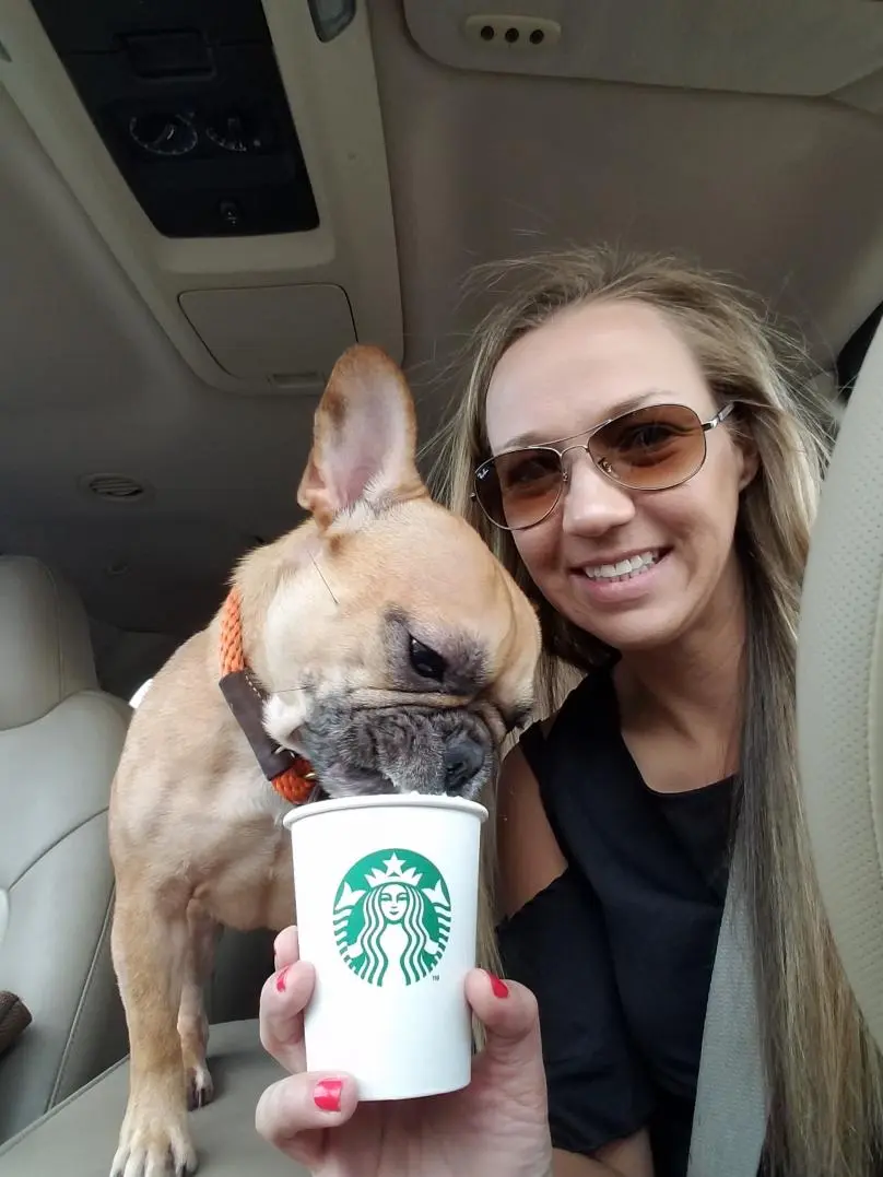 Puppuccino.jpg