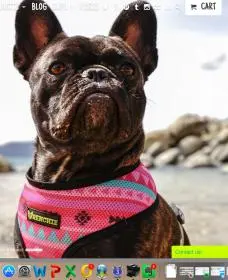 Screen Shot 2015-07-15 at 11.10.29 AM.jpg