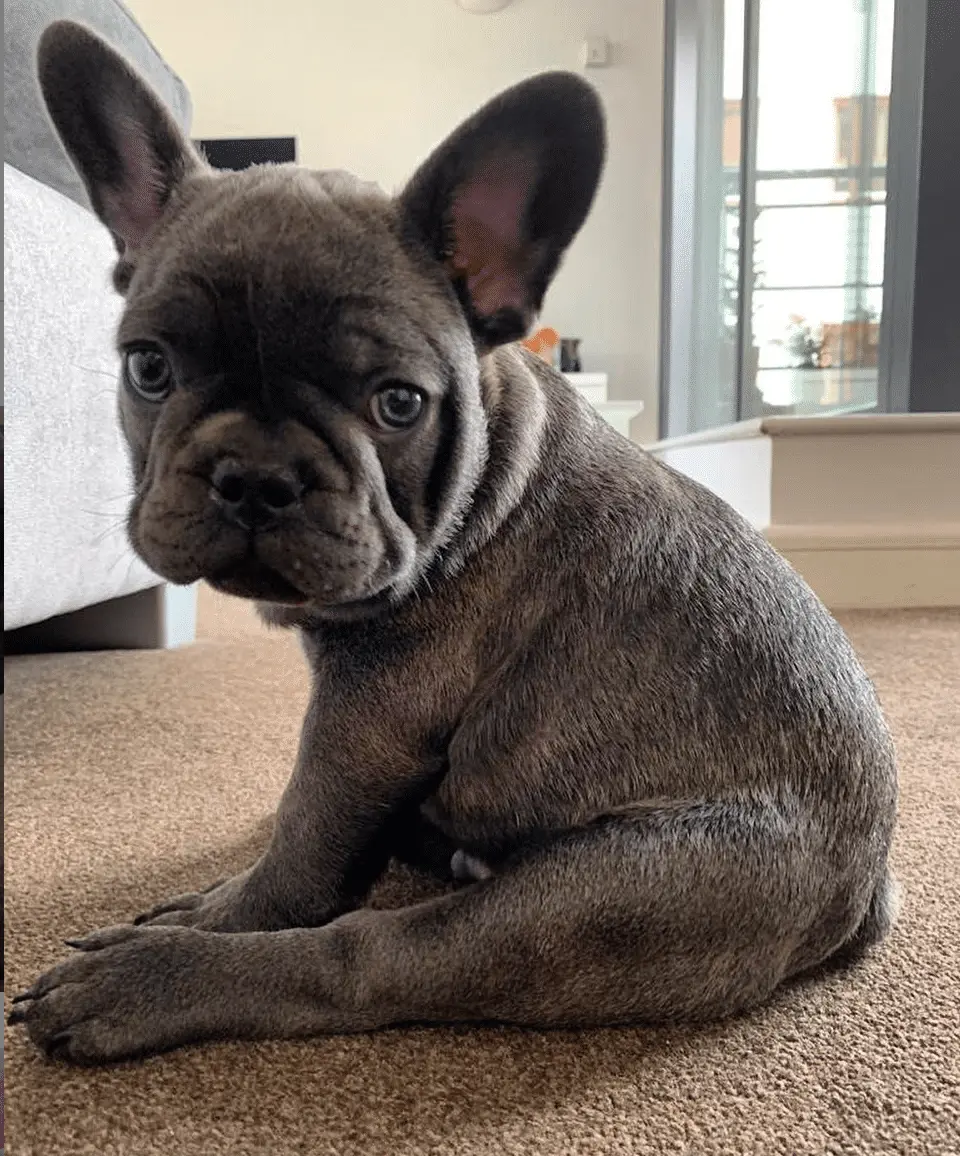 Screenshot 2020-06-03 09.56.53.png