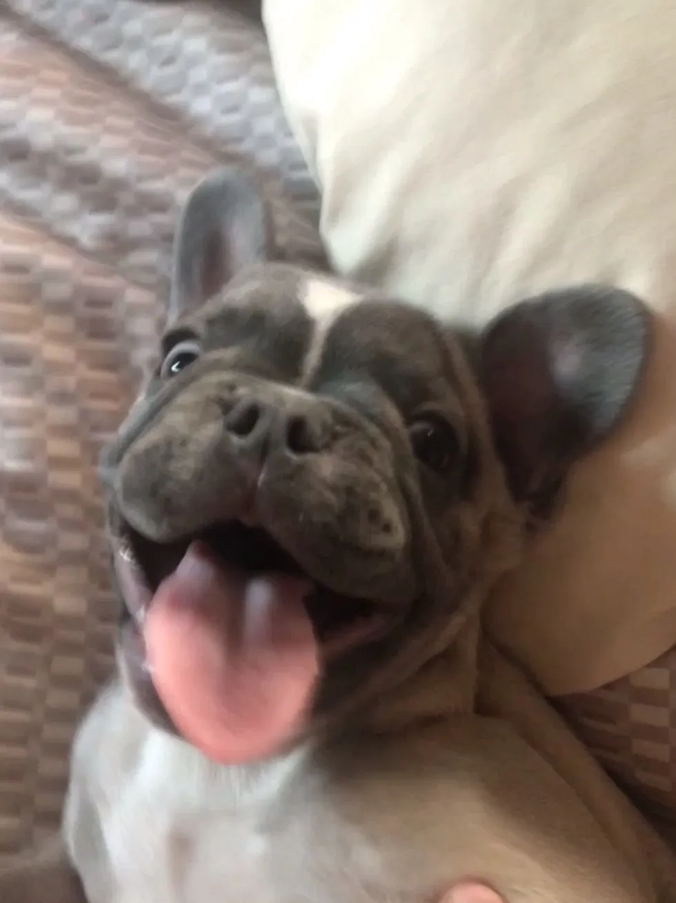 Smile
