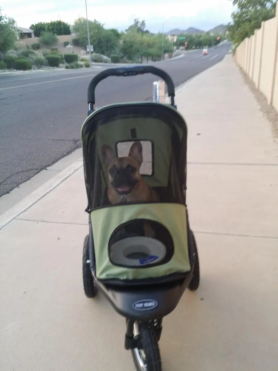 Stroller Out.jpg