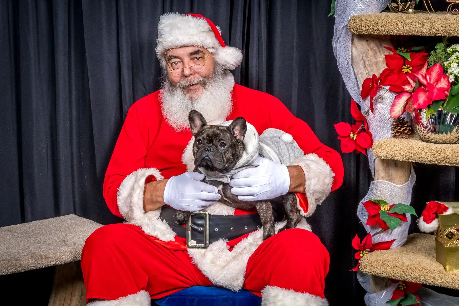 Truffle Santa Lap.jpg