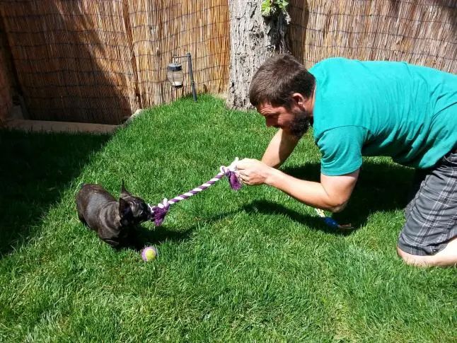 tug-o-war with Daddy